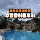(주)대구그랜드관광호텔사우나 | 제주 롯데호텔 수영장 풀카페 이용후기 (1박 22만원에 예약한후기)