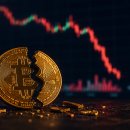 신화BTC