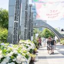 지에스25 울산장생포 이미지