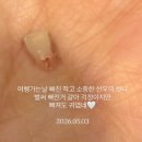 안면도행복목욕탕 | 예산 당진 서산 여행 - 충청도 여행인가 : 베니키가서산 나문재 예당호모노레일 예산시장