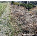 영윤농장 이미지