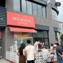 밀크독 켄넬 앤 카페 강아지분양 하남미사점 이미지