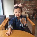 고고피씨 이미지