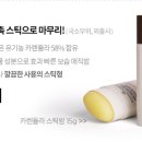 홀릭테라피 이미지