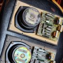 화이트벨리 이미지