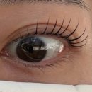 베이유뷰티 | 왕십리속눈썹맛집 베이유뷰티 맞춤 클리닉 속눈썹펌 후기