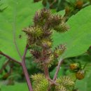 구인당약국 이미지