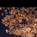 일과1리경로당 이미지