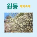 꽃노을원동