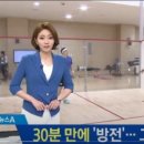 팡팡스쿼시