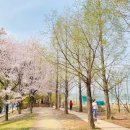 매곡리 경인투데이뉴스