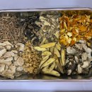 춘하추동한의원 이미지