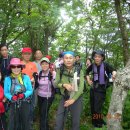 초록화원 이미지