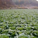 가마실마을 이미지