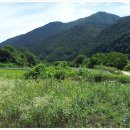 동강백운산 민박 이미지