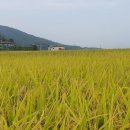 내금마을회관 이미지