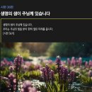 시편 36편 - 생명의 샘이 주님께 있습니다 이미지