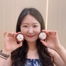 달콤한오빠 | 한시장 망고스틴 망고빙수 반미맛집 다낭오빠 후기