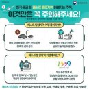 중국·몽골서 페스트 산발…당국 "검역 강화해 유입 차단" 이미지