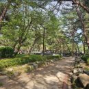 솔밭공원3 이미지