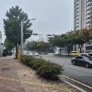 담티고가교 이미지