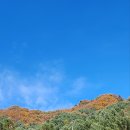 칼봉산자연휴양림 이미지