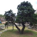 가현어린이공원 이미지