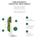 우진그린 | 참교육 우진 엄마도 선택한 실내 공기정화 식물, 나아바 스마트 그린월로 바뀐 일상