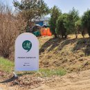 별빛든쉼 이미지