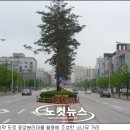 중앙사거리 - 공지천사거리 이미지