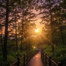 우장산공원길 | 우장산역 놀거리 총정리, 강서 주말 나들이 이렇게 즐겨요