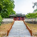 홍산향교 은행나무 이미지