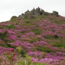 겸백초교 이미지