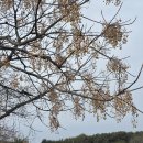 상촌마을회관 이미지