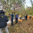 산외면행정복지센터 이미지