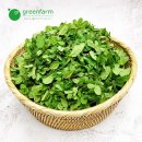 애플민트 이미지