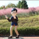 한국코미디타운 이미지