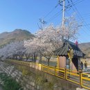 백양사 먹거리타운 이미지