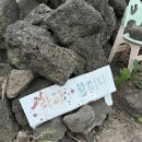 구좌 라파 김두성 할머니집 이미지