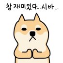 제이씨기획 - 부산진구 백양순환로 51 | 제이씨기획