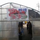 정호농장 이미지