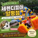 경기도 양평군 사랑나무어린이집 | 양평 캠핑장 추천 세렌디피아 양평점｜에어바운스 천국이라 아이들이 너무 좋아한 곳