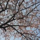 차리인동네 이미지