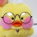 동그리안경 이미지