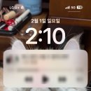 때미리디테일링 이미지