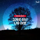 나무여행