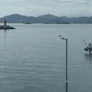 수협횟집식당회센타 | [27정희횟집] 경남 사천시 삼천포 수협 활어회센터 전어 맛집 전어회 구이