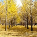 은행약수터 이미지