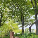 동재가산수피아 이미지