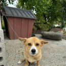 가야민박 이미지